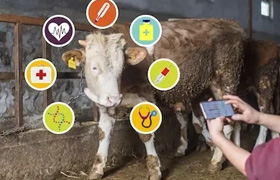 民主測(cè)評(píng)選舉投票系統(tǒng)開(kāi)發(fā)